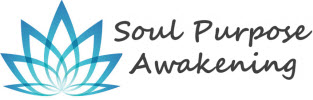 Soul Purpose Awakening | Steve Birch